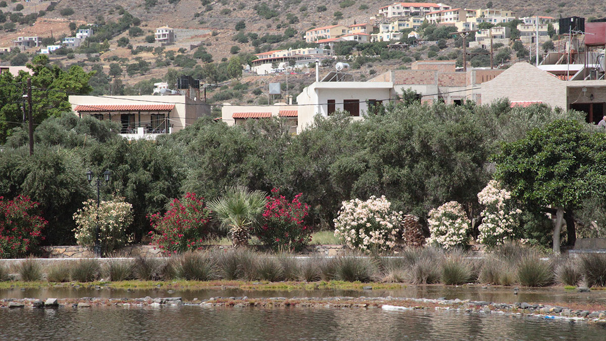 Elounda Olive Garden Studios - NR